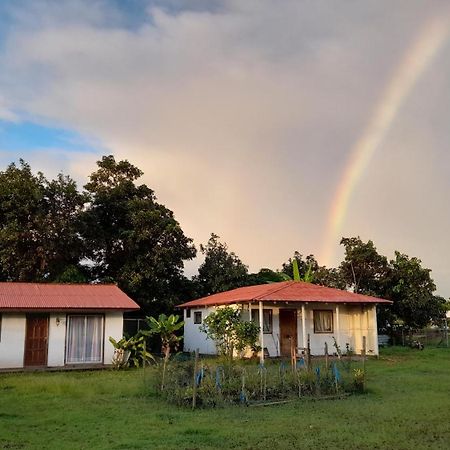 Cabanas Isla De Pascua Hanga Roa Bagian luar foto