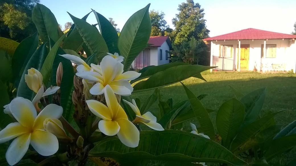 Cabanas Isla De Pascua Hanga Roa Bagian luar foto